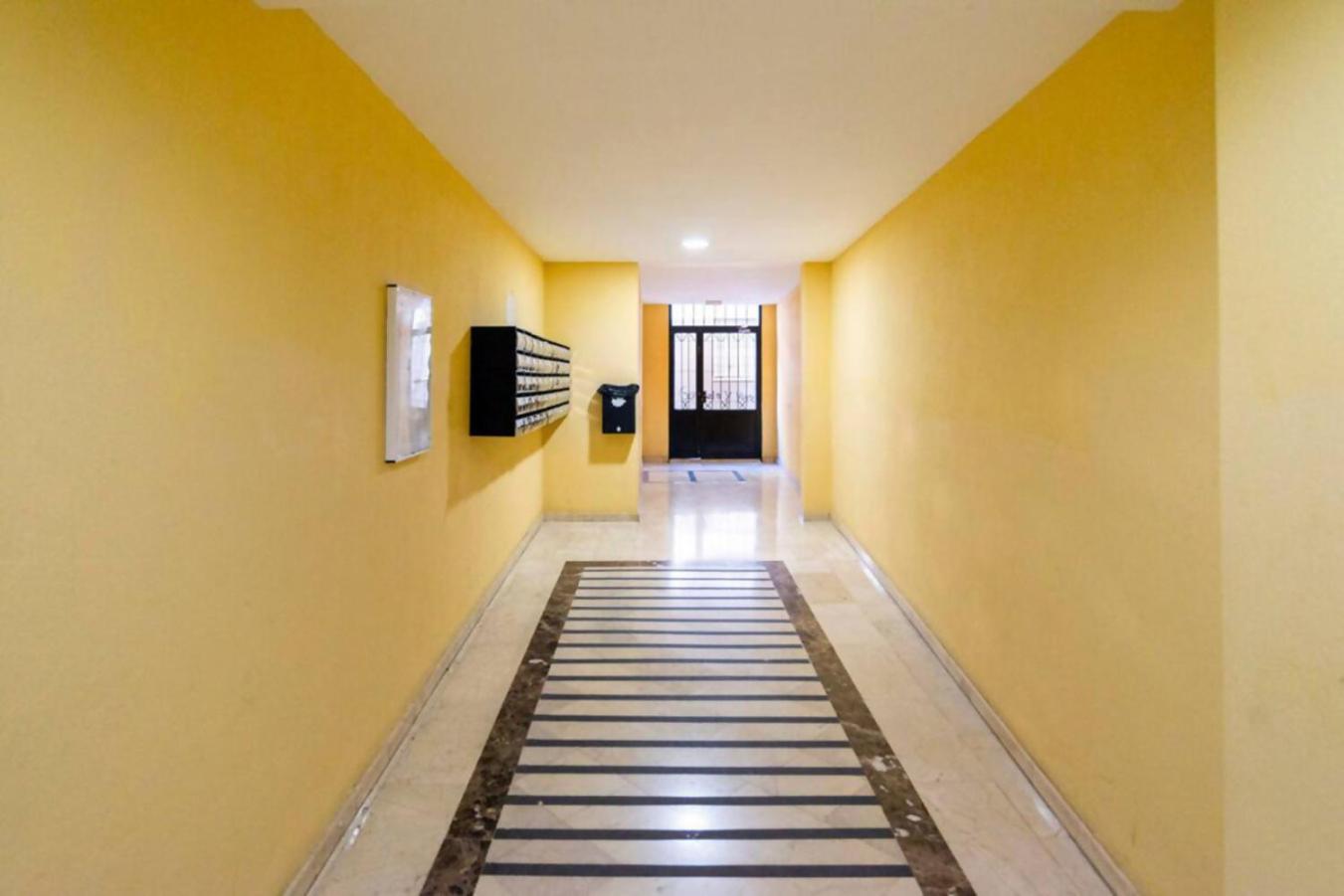 Lebre Centro